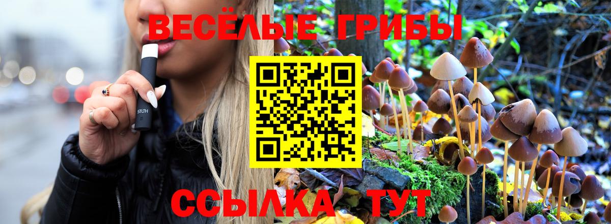 Сибай  Псилоцибиновые грибы мухоморы  сколько стоит  Вход с VPN 